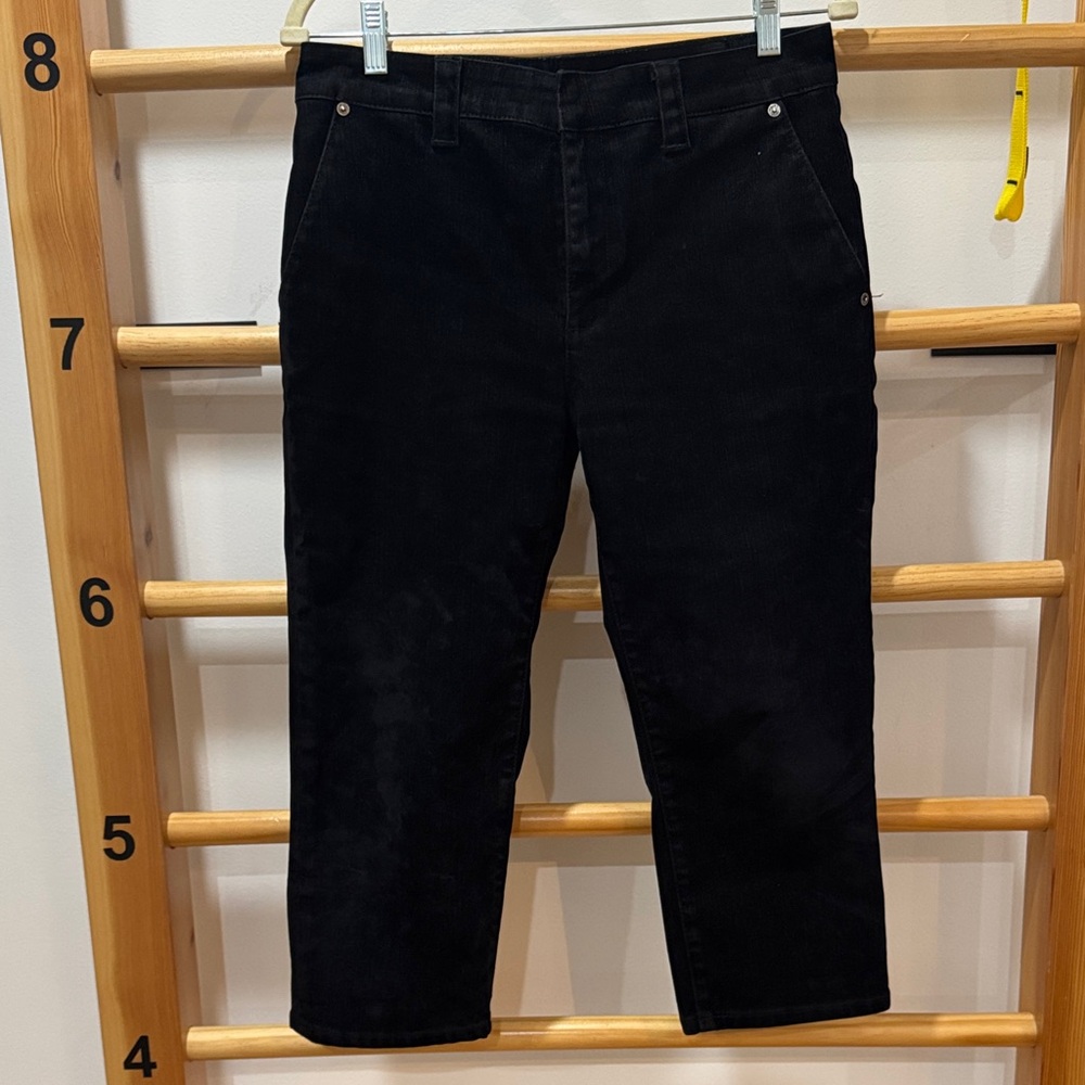 Zara Velvet Cropped Pants in Black